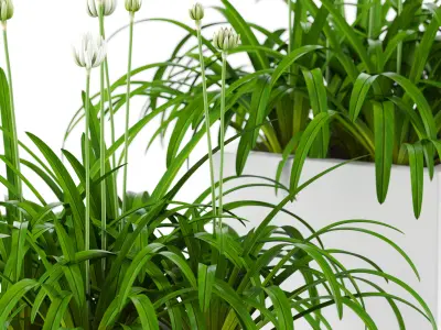 Plants collection 15 3D model purchase