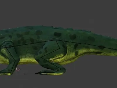 Little Lizard  Low-poly 3D model