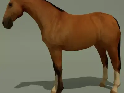 LowPoly Horse A Buckskin Low-poly 3D model