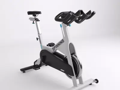 Home Spinner 3D model