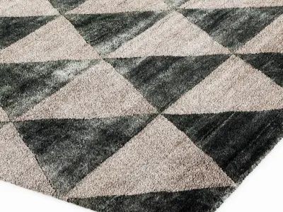 baxter FIFTIES TRIANGLE RUG 3D model