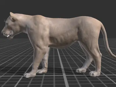 Lioness  Low-poly 3D model