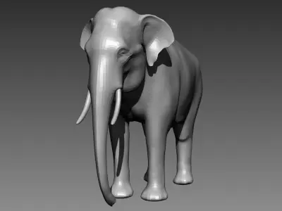 Elephant base mesh for Zbrush 3D model