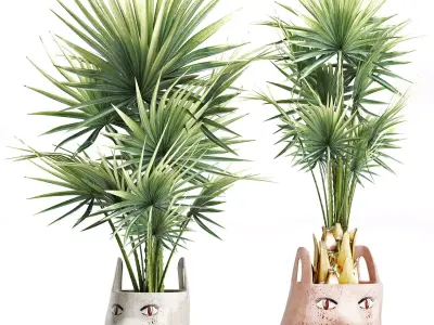 Plants Collection 198 Sabal Minor 3D model