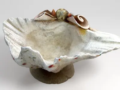 Shell Bowl Low-poly 3D model