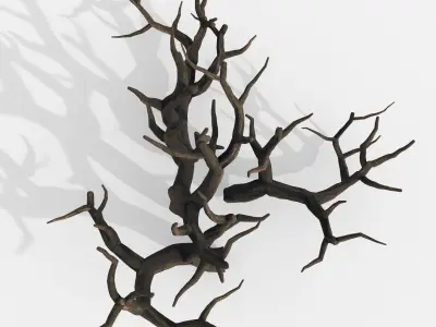 Aquarium Snag Banches V1 3D model