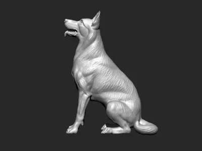 German Shepherd Dog - Low and High poly Model 3D model 3D model