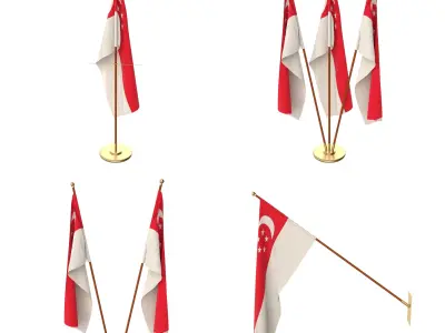 Singapore Flag Pack 3D model