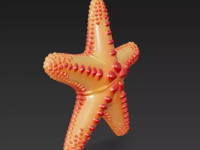 Starfish Realistic 3D Model Basic - Low Poly Realistic Low-poly 3D model