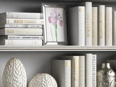 Decor Set 9 shelf with books and flowers 3D model