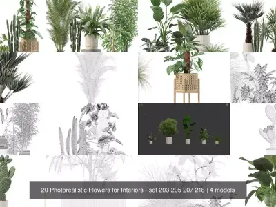 20 Photorealistic Flowers for Interiors - set 203 205 207 218 3D Model Collection