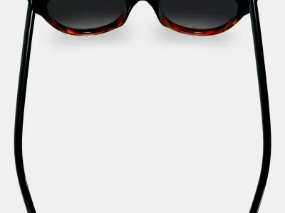 Tilley Sunglasses in Sugar Maple Fade 3D model