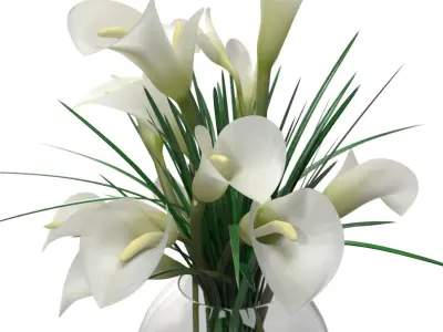 Calla Lily Arrangement in glass vase PBR 3D model