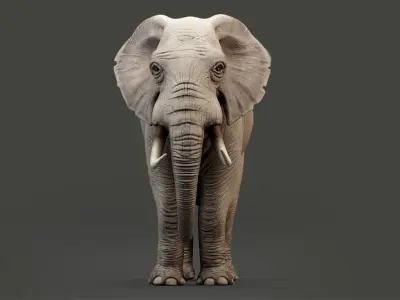 Rigged Elephant model 8K Low-poly 3D model
