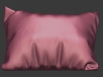 Floral Pillow  3D model