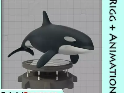 Killer Whale Low-poly 3D model
