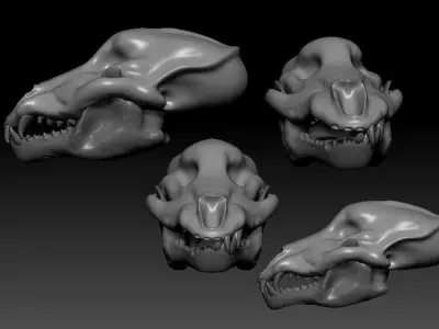 Wolf Skull Low-poly 3D model