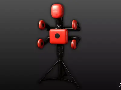 Freestanding Boxing Trainer Low-poly 3D model