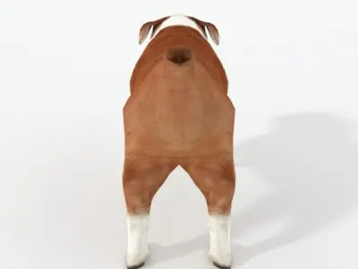 Bulldog Low-poly 3D model