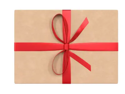 Wrapped Gift Box PBR 10 3D model