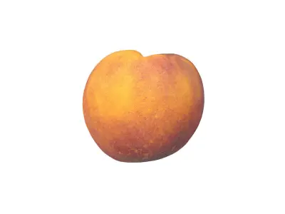 Photorealistic Peach 3D Scan 3D model