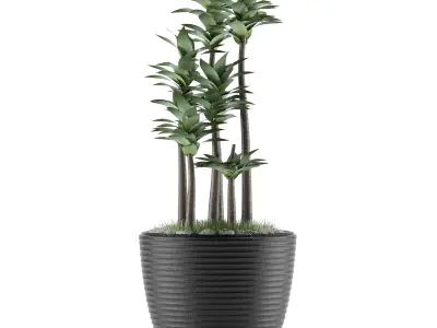 House Plant 19 3D model