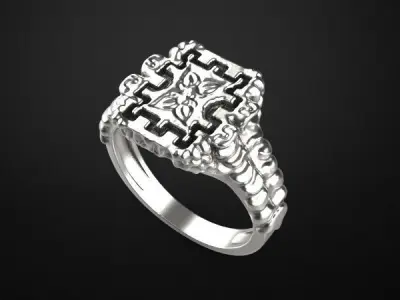 Man ring model special style 3D print model