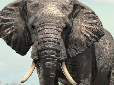 African Elephant Rigged model Low-poly 3D model