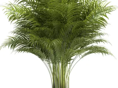 Plant 67 3D model