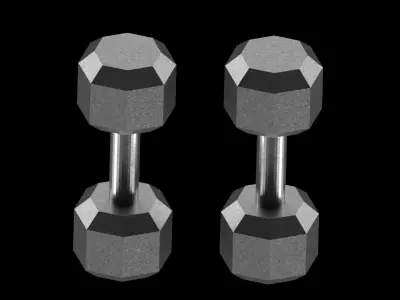 Dumbbells two 3D model purchase