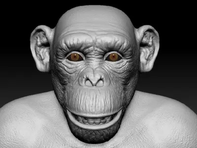 Chimpanzee Ape 3D model