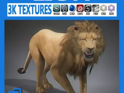 Lion 3D 3D model
