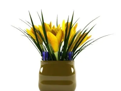 crocus yellow 3D model