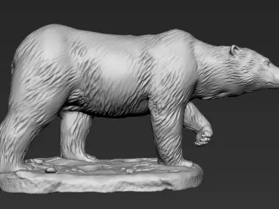 Polar Bear Zbrush Sculpt 3D model