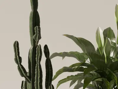 Plants collection 140 3D model