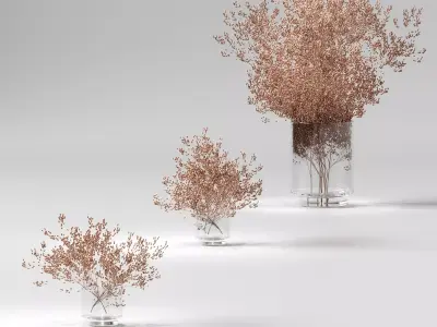 Dry plants set - 3 models 3D model