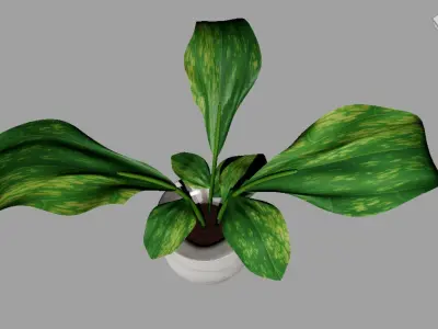 Potted Plant 3D model purchase