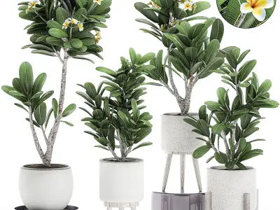 Collection of plants 32 pieces 3D model