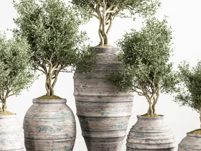 indoor plant stant 45 Low-poly 3D model