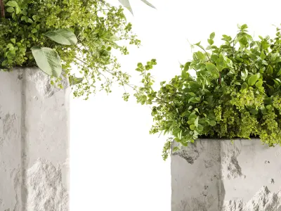 Plants Bouquets 3D model