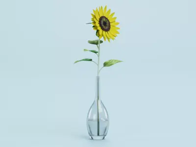 Sunflower in Glass Vase 3D model