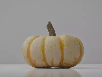 Photoreal Decorative Pumpkin Scan 01 3D model