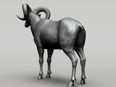 Wild animal collection  10 animals  VOL 2 3D model