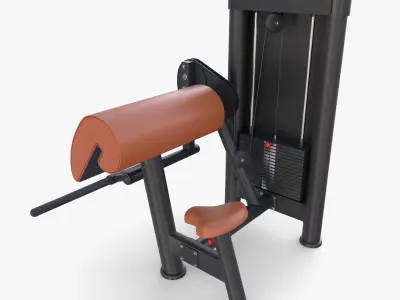 Curl machine 3D model