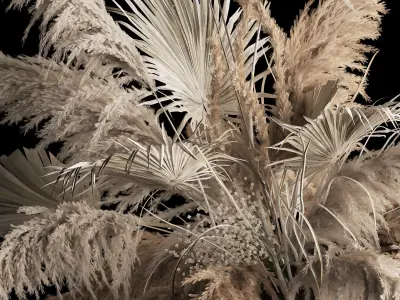 Hanging Bouquet Of Dry Reeds For Decoration 257 3D model