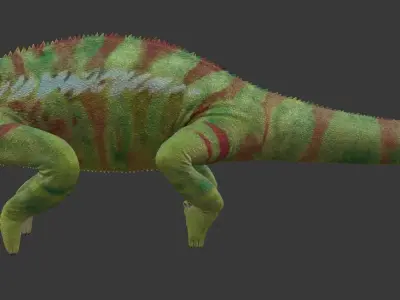Chameleon Low-poly 3D model