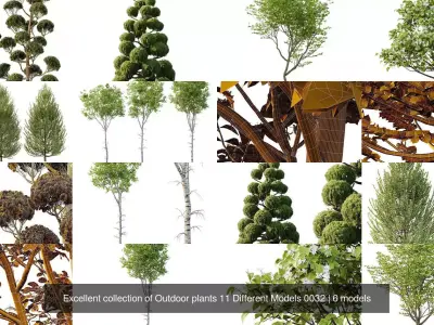 Excellent collection of Outdoor plants 11 Different Models 0032