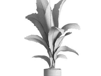 indoor plant 020 3D model