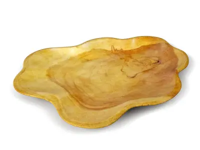 Teak Wood Wave Plate 3D model