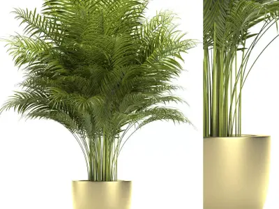 Plant 67 3D model